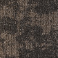 Grafico Project-SDN 713